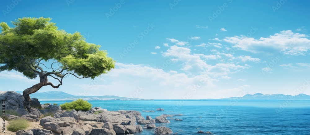 Fototapeta premium A serene seaside view on a sunny day with an idyllic natural background, offering a sense of joy and peace in the environment, ideal for a copy space image.