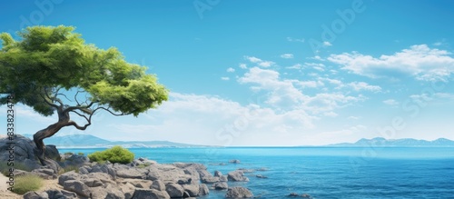 A serene seaside view on a sunny day with an idyllic natural background  offering a sense of joy and peace in the environment  ideal for a copy space image.