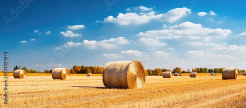 Autumn agricultural field w...