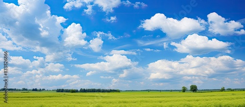 Fototapeta Naklejka Na Ścianę i Meble -  Summer countryside under white rain clouds with a vivid blue sky, creating a high-contrast scene, ideal as a copy space image.