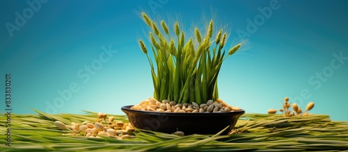 Novruz celebration with ger...
