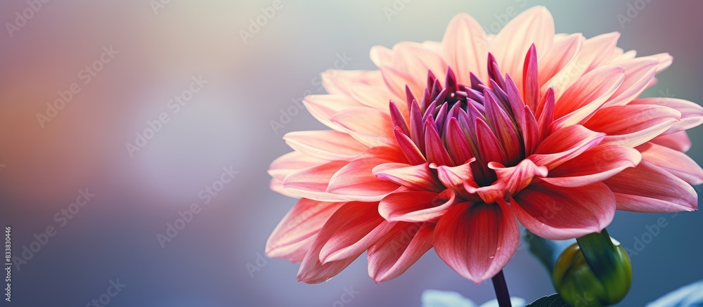 Obraz premium Close-up image of a flower with copy space.