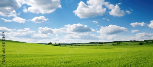 A tranquil meadow with the countryside in the background  revealing vast farm fields - with copy space image.