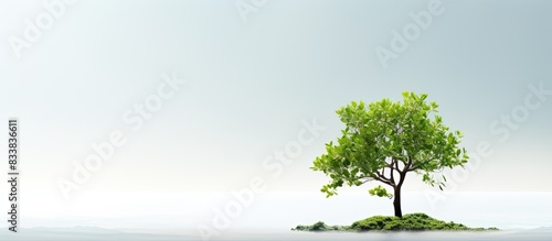 Botanical greenery with an isolated single tree in a copy space image.