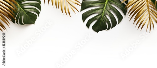 Minimal concept featuring g...