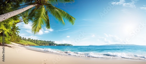 Scenic tropical beach with ocean views and copy space image.