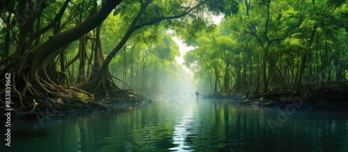 Scenic mangrove forest in the stunning Sundarbans with a beautiful copy space image. photo