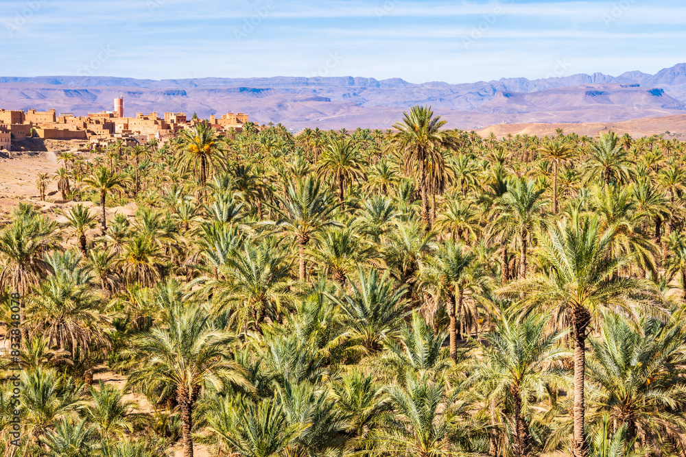 Palm trees in green oasis in desert arid landscape between Agdz and Zagora towns in Atlas Mountains, Morocco, North Africa Palm trees in green oasis in desert arid landscape between Agdz and Zagora towns in Atlas Mountains, Morocco, North Africa