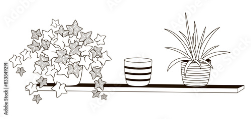 house plants in pots stand on a shelf