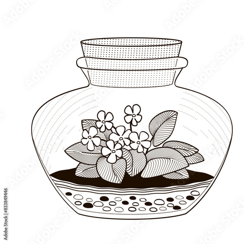 plant terrarium with African violet