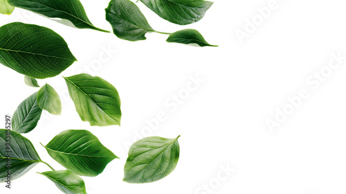 fluttering green leaves
