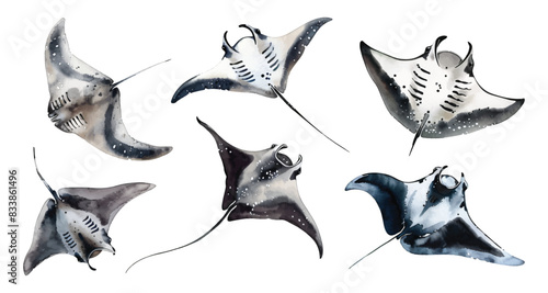 Set collection of hand drawn of stingray manta ray fishes sea animals floating underwater
