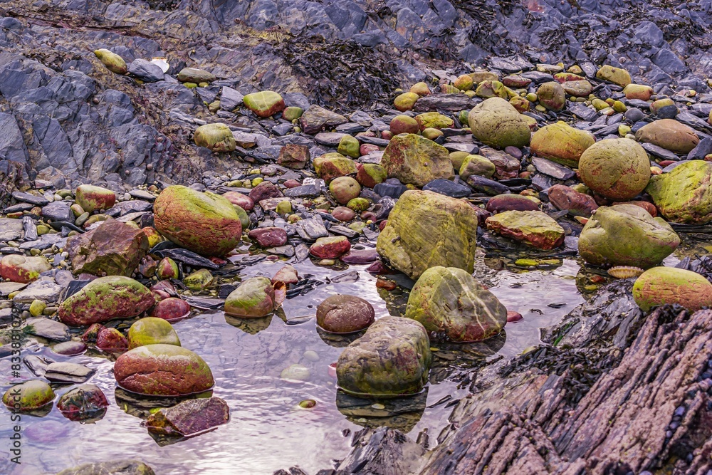 Rocks and shells on the coast Rocks and shells on the coast