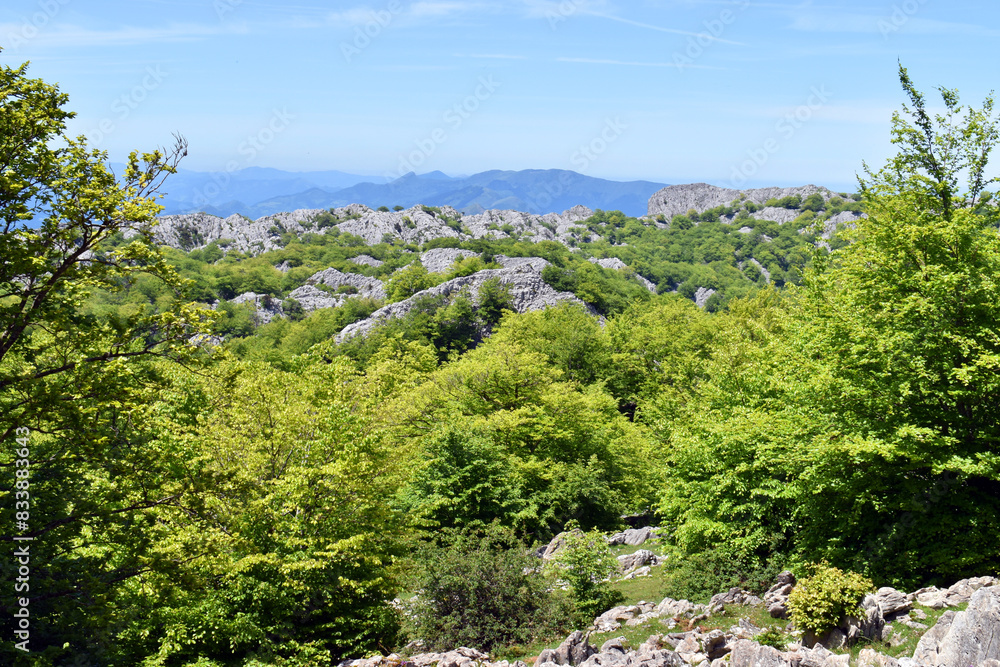 Obraz premium Itxina karstic massif. Gorbeia (or Gorbea) Natural Park. Basque Country. Spain