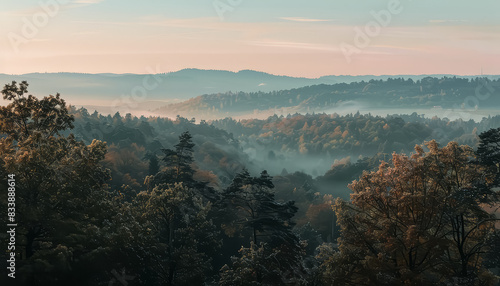 A misty forest with trees and mountains in the background