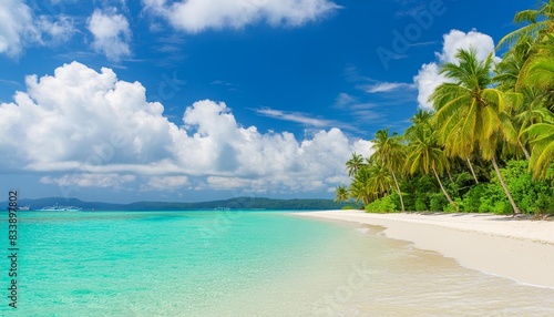 beautiful tropical beach with white sand palm trees turquoise ocean against blue sky with clouds on sunny summer day © Sawyer