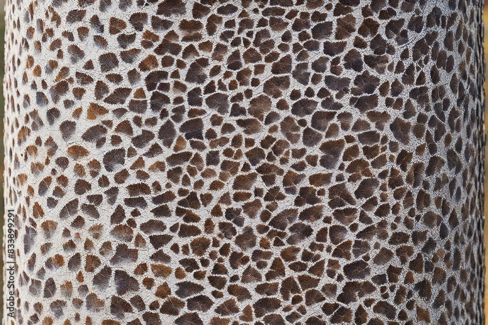 close up of skin close up of skin