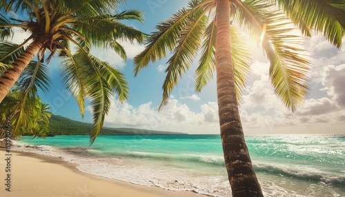 palm trees in sunny tropical beach and turquoise sea in jamaica paradise island