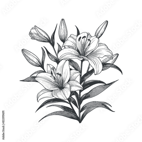 Flat design flower silhouettes and leaves floral element design vector template illustration