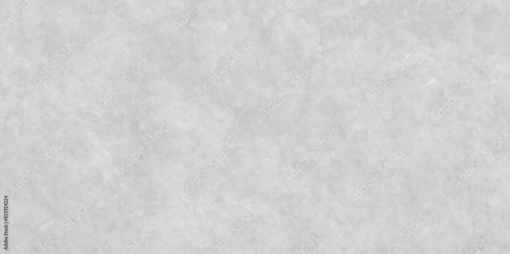 White abstract background. Grunge banner.Wall and panel marble natural pattern for architecture and interior design,white natural stone pattern abstract for design art work.old cement wall texture bac White abstract background. Grunge banner.Wall and panel marble natural pattern for architecture and interior design,white natural stone pattern abstract for design art work.old cement wall texture bac