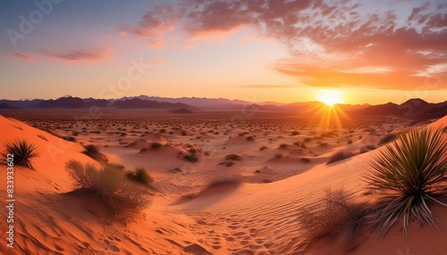 desert sunset © Ashleigh