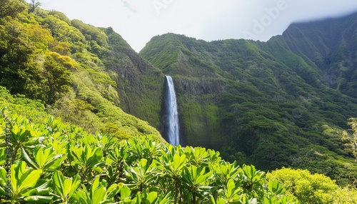 waterall in hawaii surrounded by green foliage photo