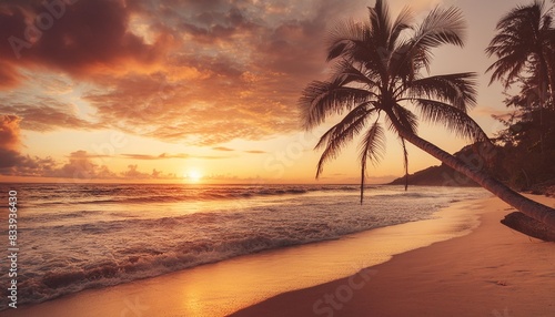 beautiful sunset on the palm beach