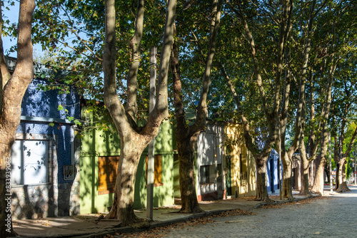 View down one of the cobblestone streets in historic quarter of Colonia del Sacramento in Uruguay a UNESCO World Heritage Site along the Río de la Plata with sun shining through sycamore trees