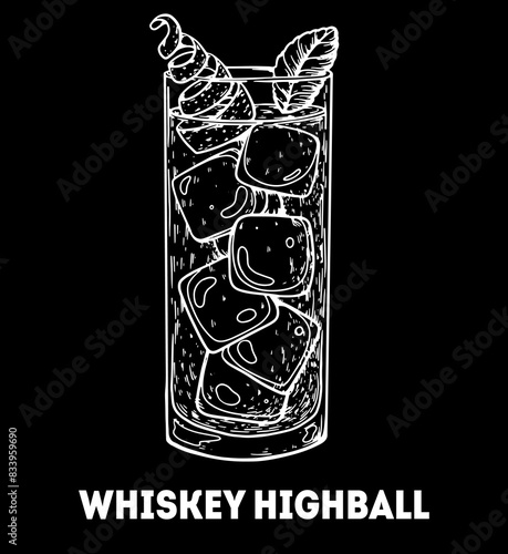 Whiskey highball cocktail illustration. Hand drawn sketch. Vector illustration. Isolated object.