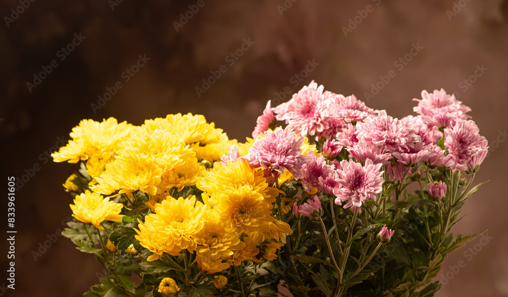 Beautiful arrangement of yellow and pink chrysanthemum flowers, selective focus.