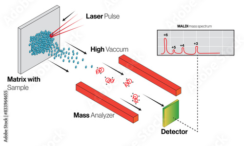 Matrix Assisted Laser Desorption Ionization MALDI Working Principle and Instrumentation, Scientific Vector Illustration.