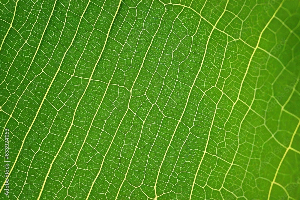 green leaf texture green leaf texture