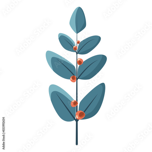 Eucalyptus branch with red berries in flat vector style, isolated on white background. Vectochka with leaves in trendy blue shades, for typography or print design
