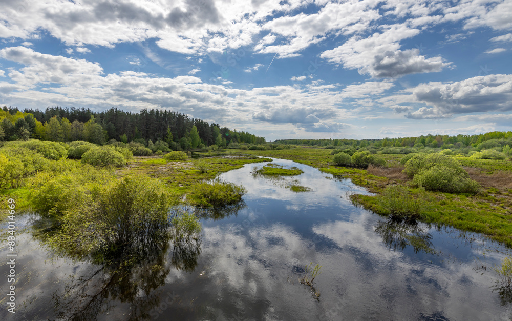 A crystal-clear river winds its way through a dense, vibrant green forest in the heart of spring, creating a mesmerizing scene of natural beauty. A crystal-clear river winds its way through a dense, vibrant green forest in the heart of spring, creating a mesmerizing scene of natural beauty.