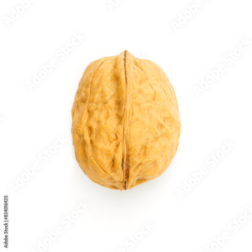 fernor walnut isolated on white background
