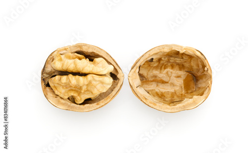 Half of walnut, isolated on white background