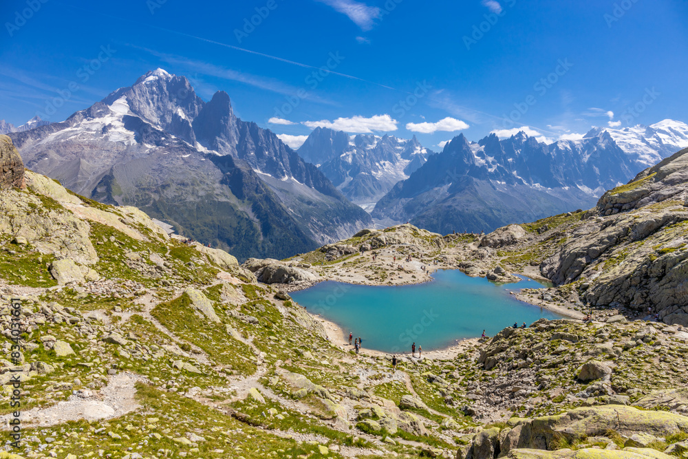 Obraz premium Chamonix Montblanc beautiful alpine mountain summits landscape. Alps mountains with snow and glacier above green valley of Chamonix in France. Alps beautiful scenery in summer