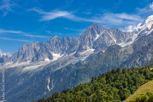 Wallpaper Mural Chamonix Montblanc beautiful alpine mountain summits landscape. Alps mountains with snow and glacier above green valley of Chamonix in France. Alps beautiful scenery in summer Torontodigital.ca