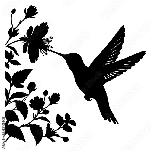 Flying hummingbirds silhouette isolated on white background