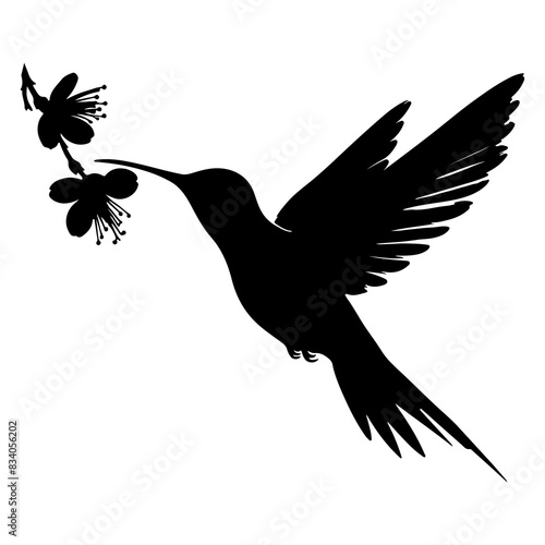 Flying hummingbirds silhouette isolated on white background