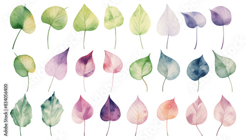 Set collection watercolor ivy leaves vector isolated on white background