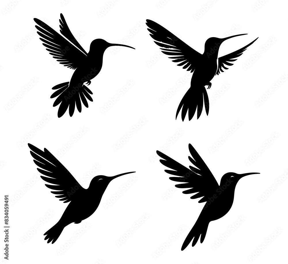 Humming bird silhouette Collection vector illustration Humming bird silhouette Collection vector illustration