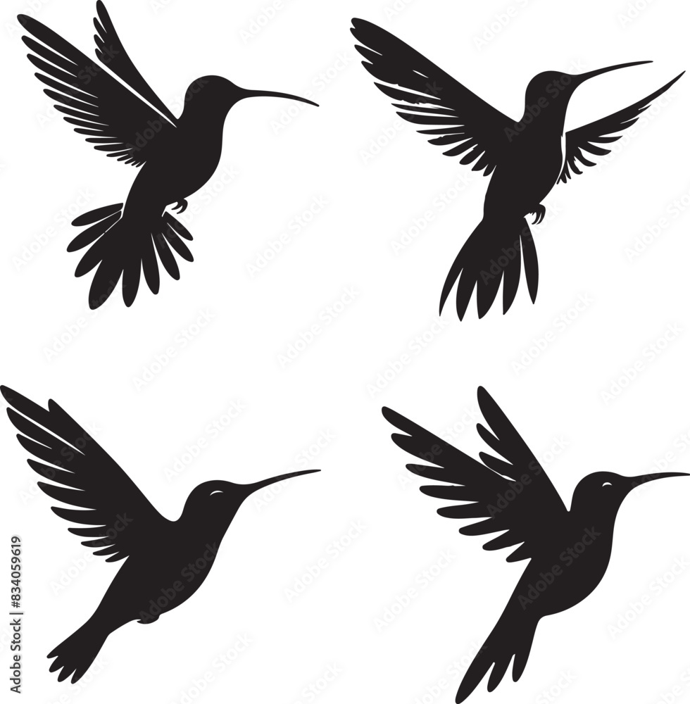 Obraz premium Humming bird silhouette Collection vector illustration