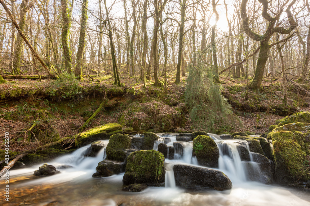 Obraz premium Long exposure of a waterfall flowing through the woods at Combe Park near Watersmeet in Exmoor National Park
