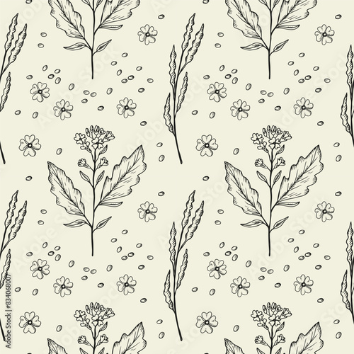Seamless pattern with mustard plant flowers. Hand drawn engraved repeating floral background for textile, packaging, label, card, print, paper, wallpaper. Spicy food ingredient. Vector illustration