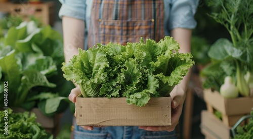 Person Holding a Box of Lettuce