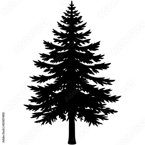 Detailed silhouette of a majestic evergreen tree vector