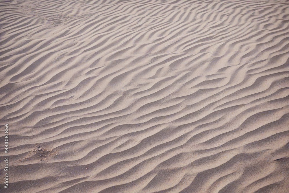 ripples in the sand ripples in the sand
