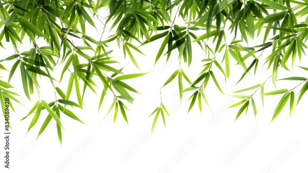 Bamboo Leaves Border Isolated on White Background. Asian Inspired Design Element Bamboo Leaves Border Isolated on White Background. Asian Inspired Design Element