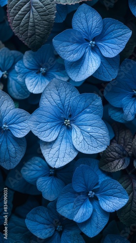Vibrant Blue Hydrangea Blooms Flat Lay Generative AI